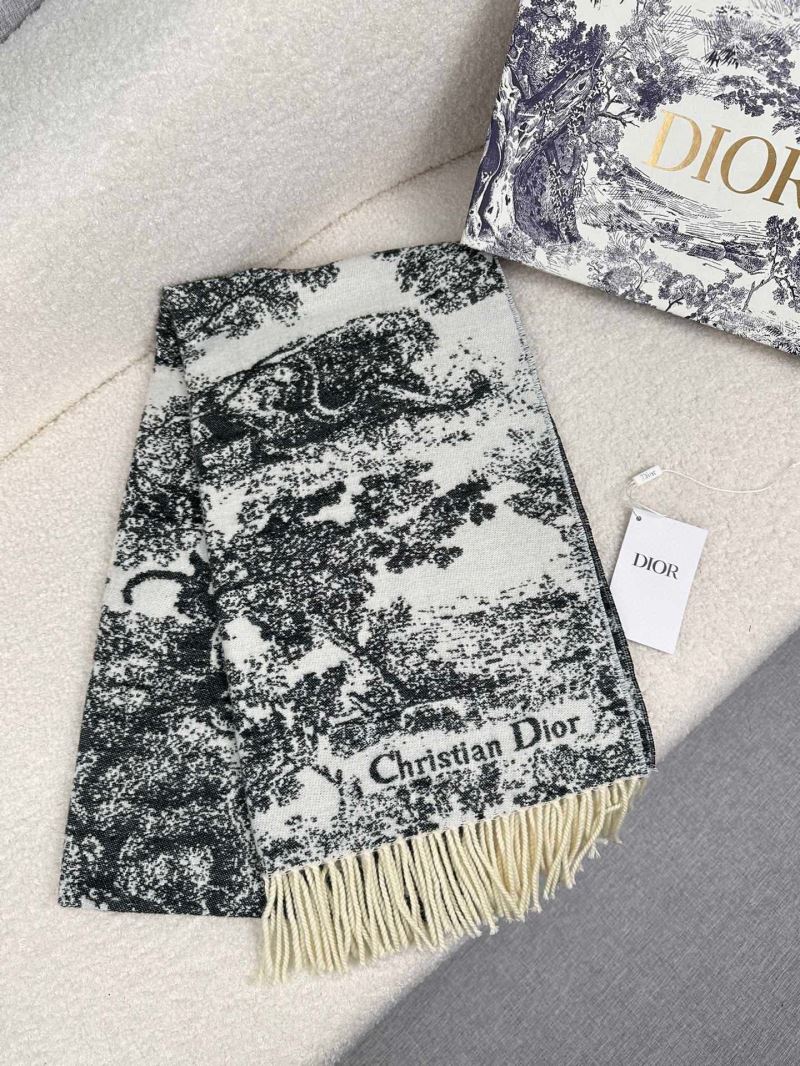 Christian Dior Scarf